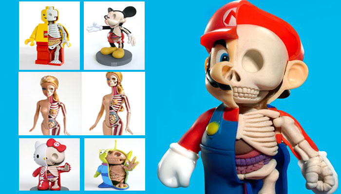 Anatomía realista de nuestros muñecos favoritos.