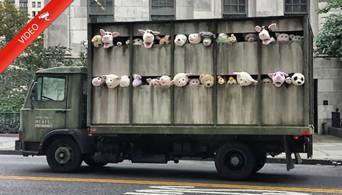 Original Protesta del Artista Urbano Banksy en Nueva York.